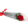 Single Red Rose