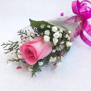 Single Pink Roses