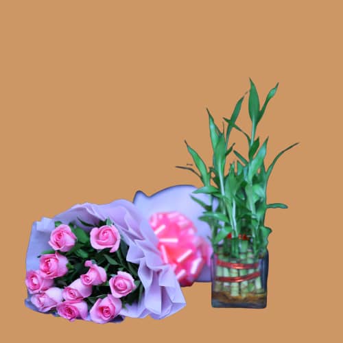 Pink Roses Bunch & Small Bamboo Plant