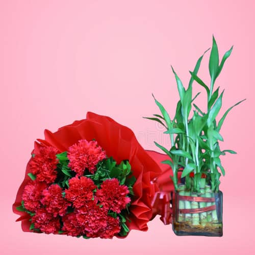 Red Carnation Bunch & Small Bamboo Plant