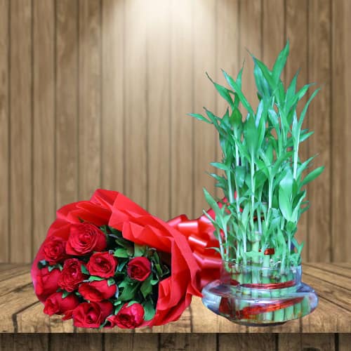 Red Roses Bunch & Lucky Bamboo Plant