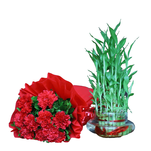 Red Carnation Bunch With Three Layer Bamboo