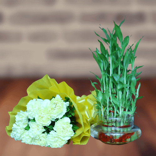 Yellow Carnation Bunch & Bamboo Plant Combo