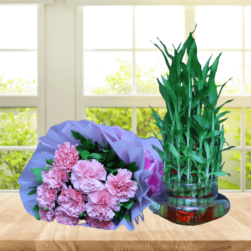 Pink Carnation Bunch With Bamboo Plant