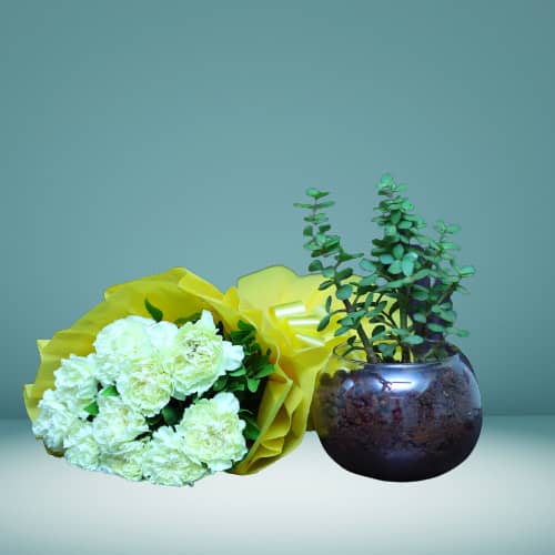 Yellow Carnation Bunch With Jade Plant In Round Vase