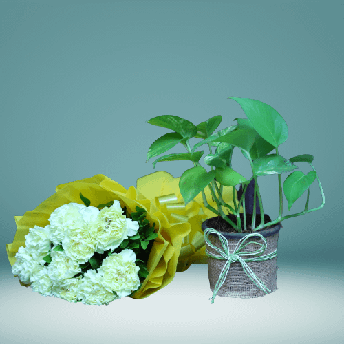 Yellow Carnation Bunch & Money Plant