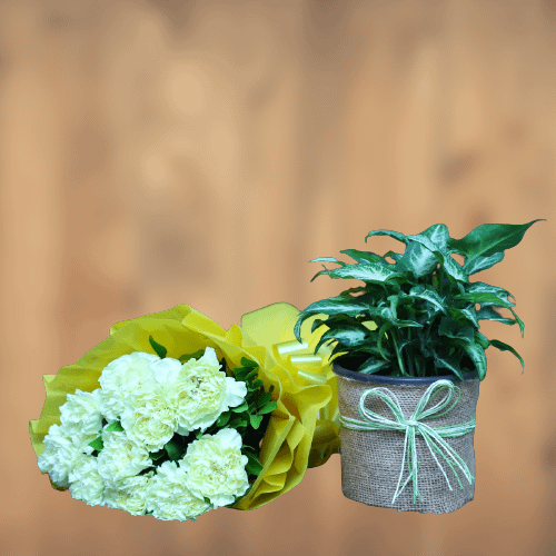 Yellow Carnation Bunch With Syngonium Plant