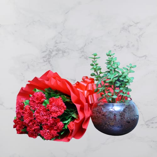 Red Carnation Bunch With Jade Plant In Round Vase