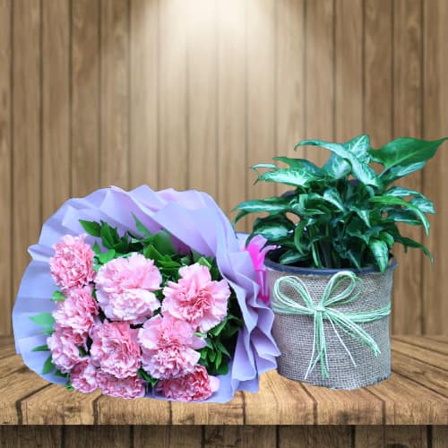 Pink Carnation Bunch With Syngonium Plant