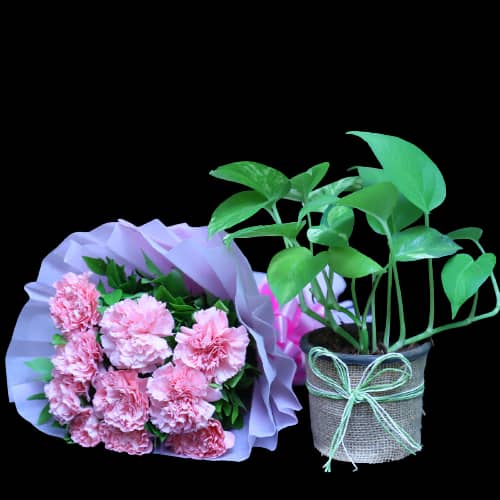 Pink Carnation Bunch With Money Plant