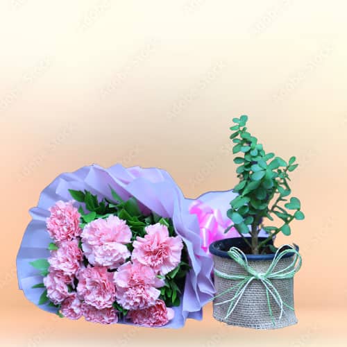 Beautiful Pink Carnation Bunch With Jade Plant