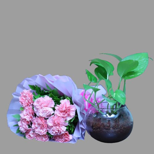 Pink Carnation Bunch With money Plant