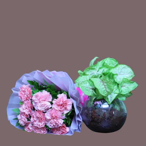 Pink Carnation With Syngonium Plant