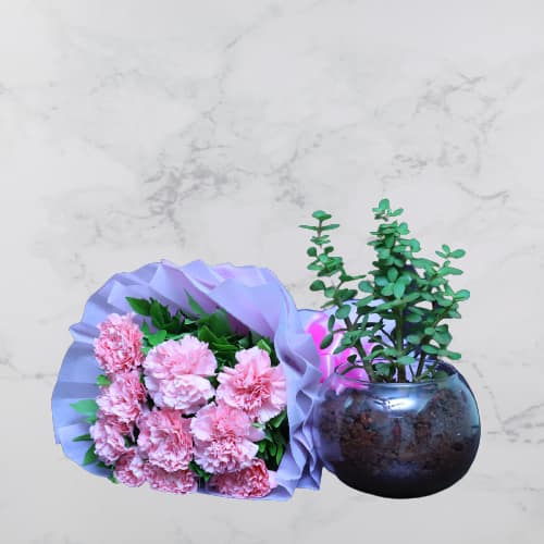 Pink Carnation Bunch With Jade Plant