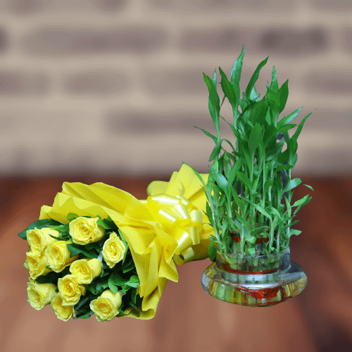 Yellow Roses Bunch With Fresh Three Layer Bamboo Plant