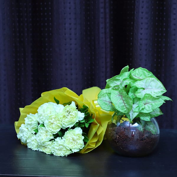 Yellow Carnation Bunch With Syngonium Plant