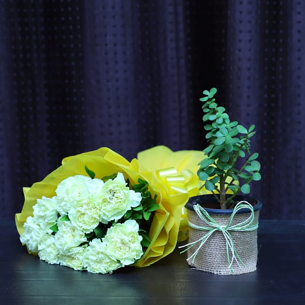 Yellow Carnation Bunch & Jade Plant