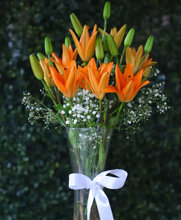 Shining Orange Asiatic Lily In Glass Vase