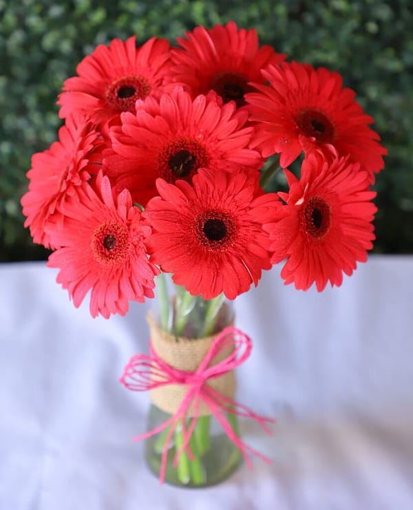 Pink Gerbera In Glass Vase