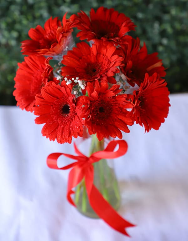 Red Gerbera Bunch